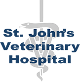 St. John's Veterinary Hospital - Over 30 Years of Quality Pet Care